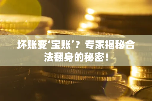 北京坏账变‘宝账’？专家揭秘合法翻身的秘密！
