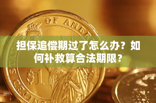 北京担保追偿期过了怎么办？如何补救算合法期限？