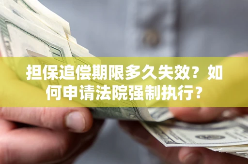 北京担保追偿期限多久失效？如何申请法院强制执行？