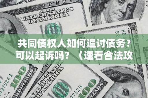 北京共同债权人如何追讨债务？可以起诉吗？（速看合法攻略）