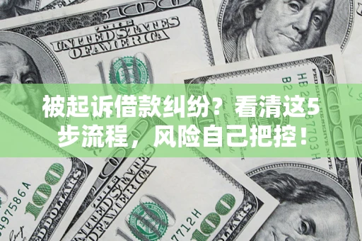 北京被起诉借款纠纷？看清这5步流程，风险自己把控！